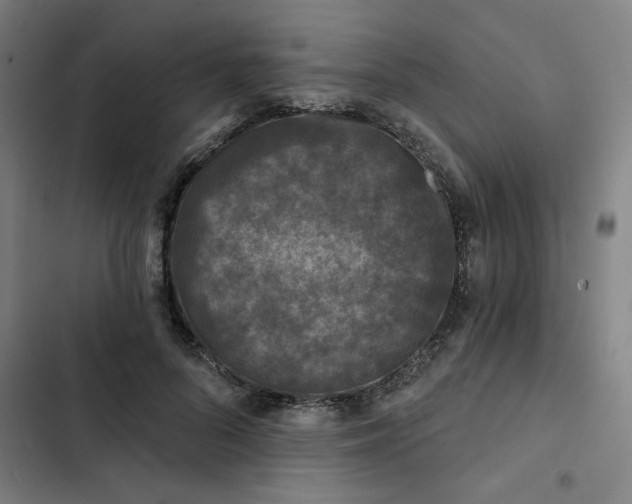 X0000102460696200808221619