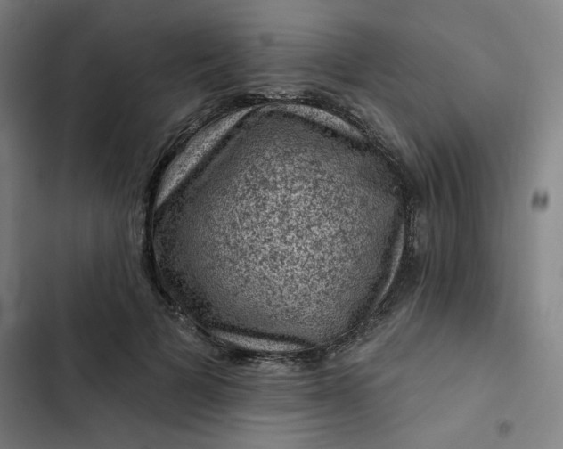 X0000102460697200808221619