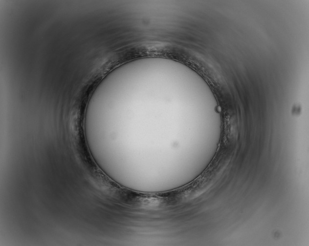 X0000102460698200808221619