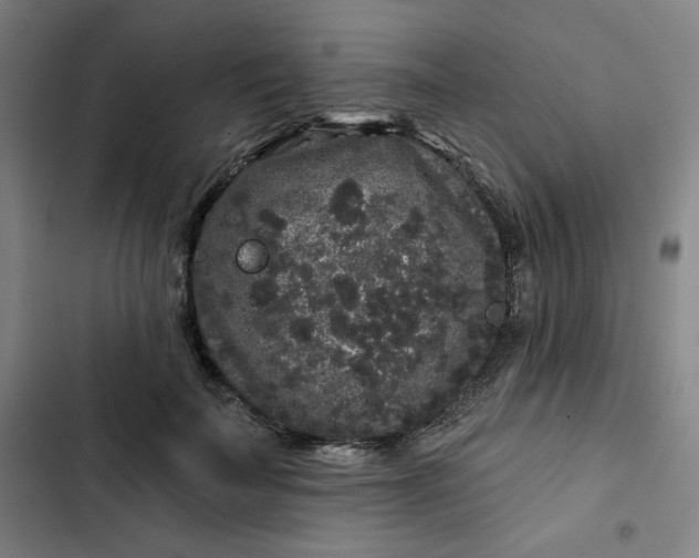 X0000102460699200808221619