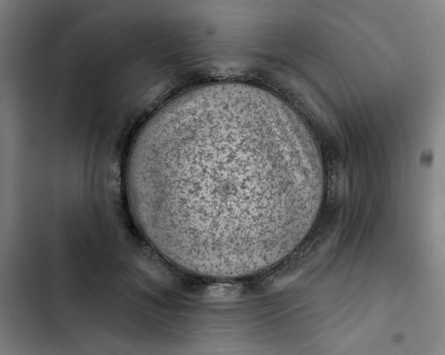 X0000102460700200808221619