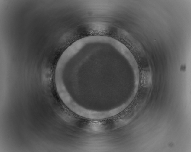 X0000102460701200808221619