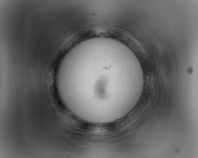 X0000102460702200808221619