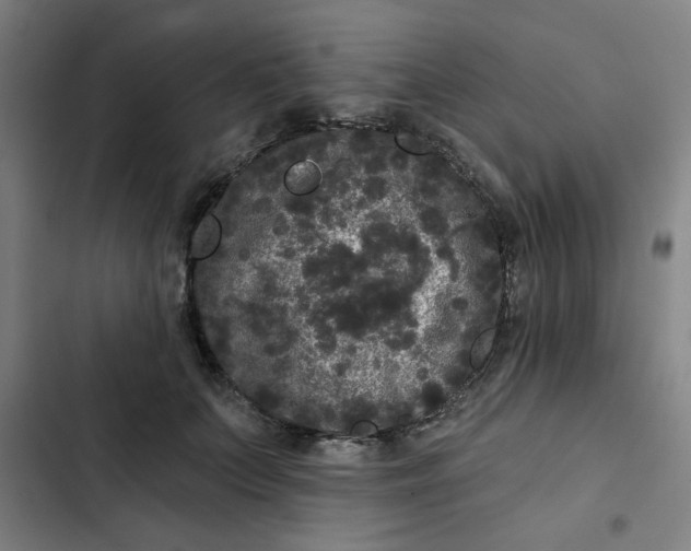 X0000102460703200808221619