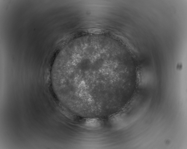 X0000102460705200808221619