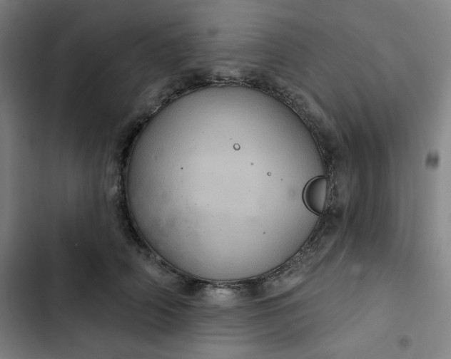 X0000102460706200808221619