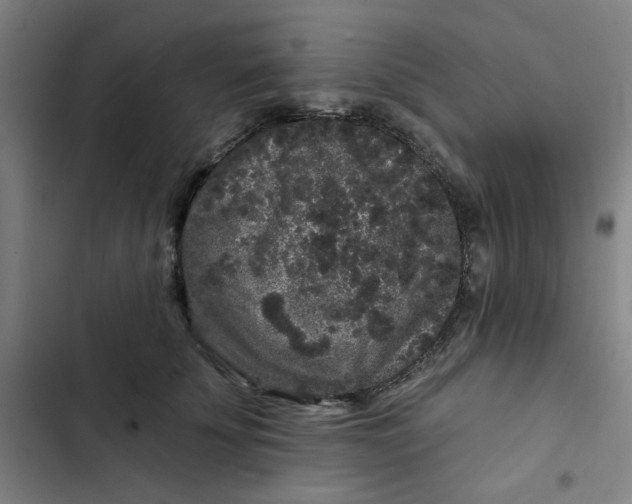 X0000102460707200808221619