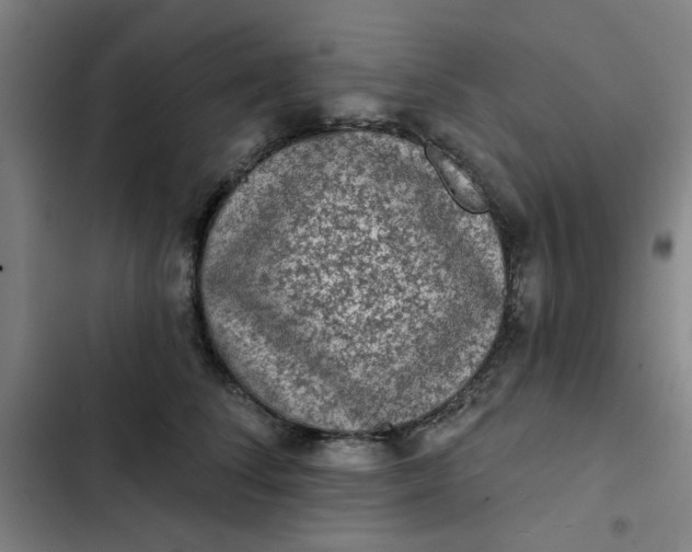 X0000102460708200808221619