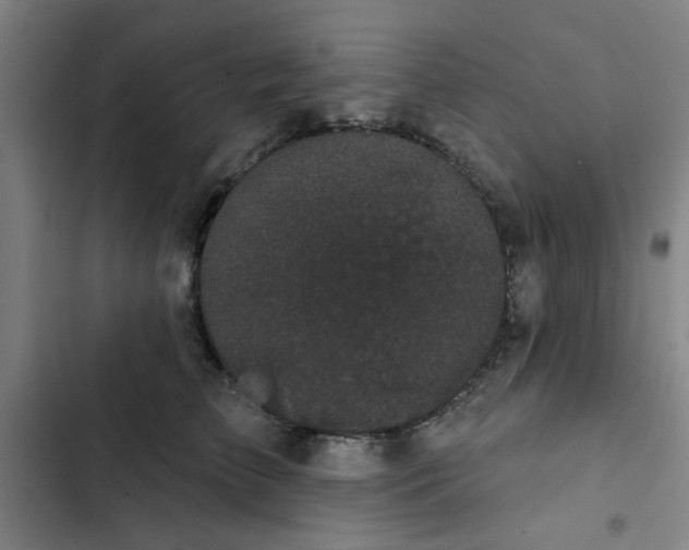 X0000102460709200808221619