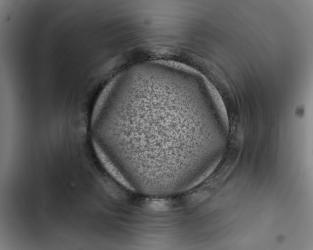 X0000102460710200808221619