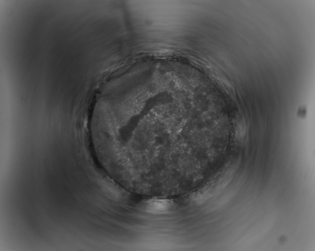 X0000102460711200808221619