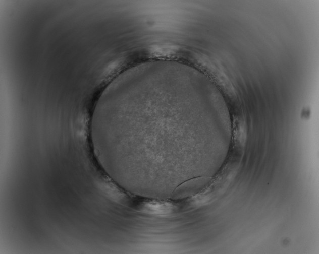 X0000102460712200808221619