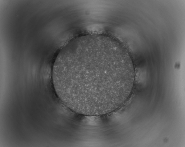 X0000102460713200808221619