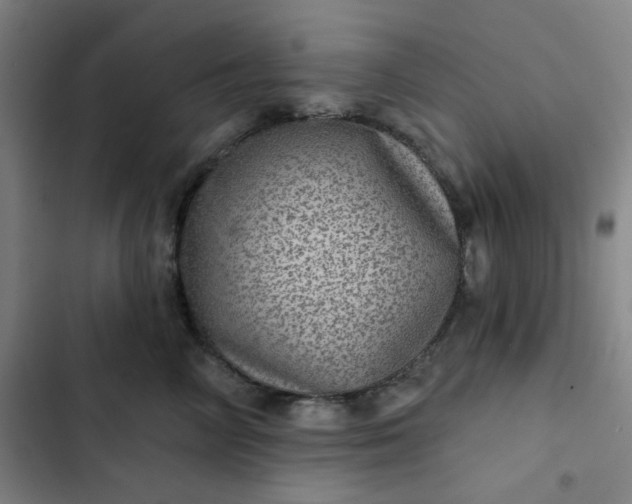 X0000102460714200808221619