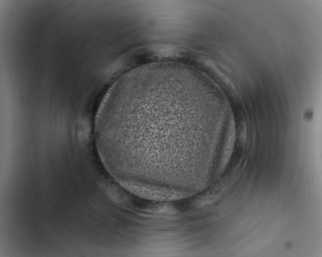 X0000102460715200808221619