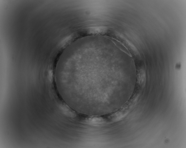 X0000102460716200808221619