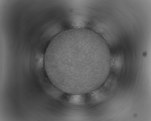 X0000102460717200808221619