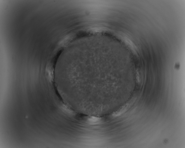 X0000102460718200808221619