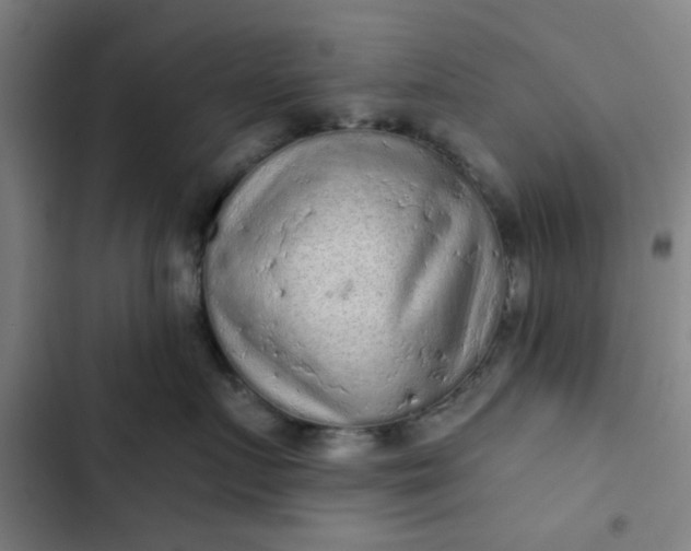 X0000102460719200808221619