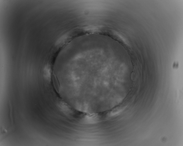 X0000102460720200808221619