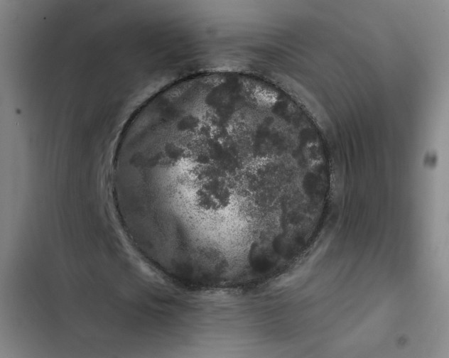 X0000102460721200808221618