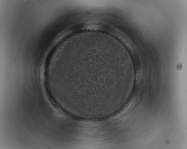 X0000102460722200808221618