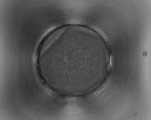 X0000102460723200808221618