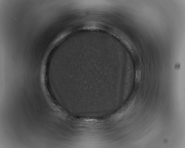 X0000102460724200808221618