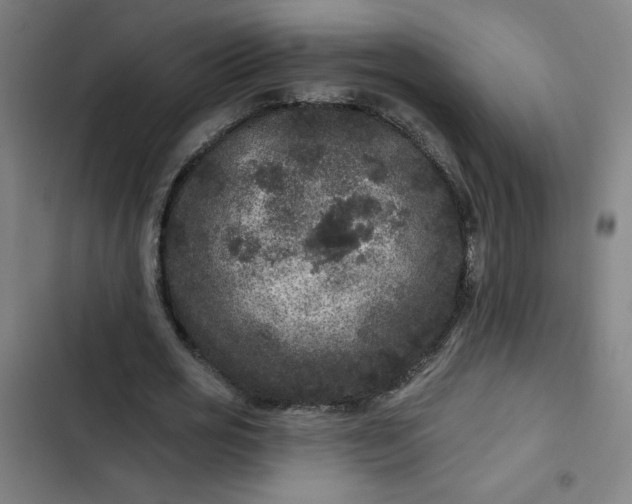 X0000102460725200808221618