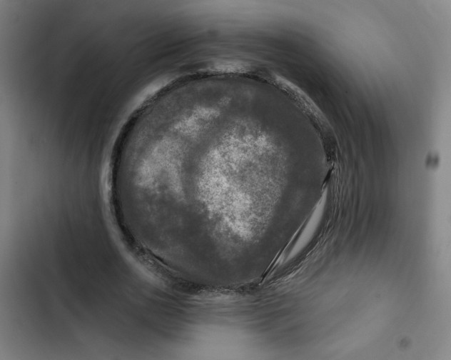 X0000102460726200808221618