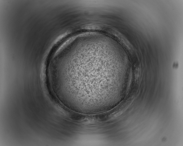 X0000102460727200808221618