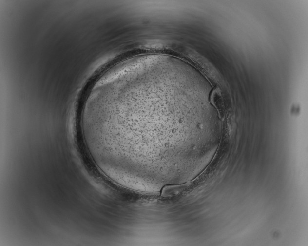 X0000102460728200808221618