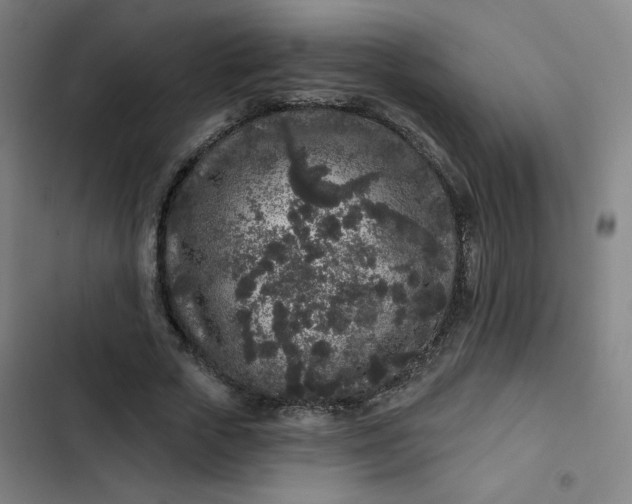 X0000102460729200808221618