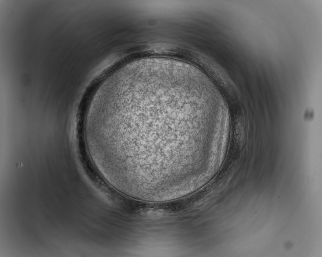 X0000102460730200808221618