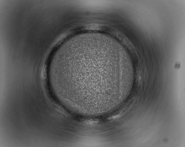 X0000102460731200808221618