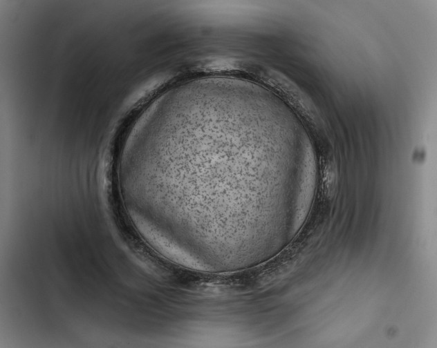 X0000102460732200808221618