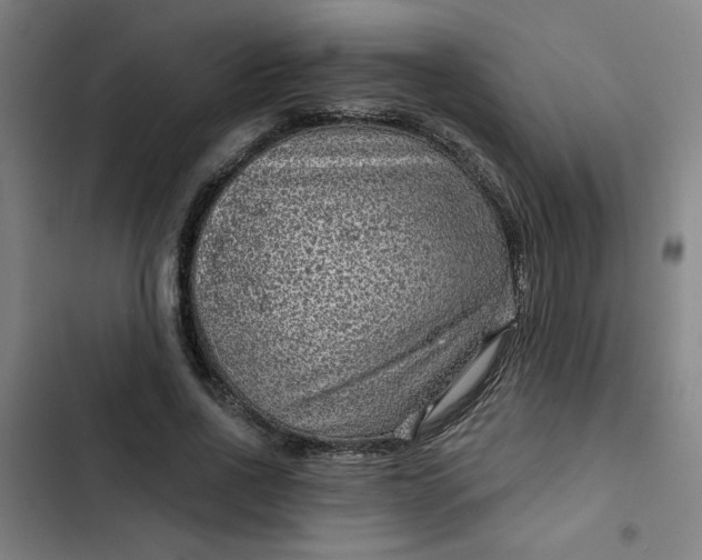 X0000102460734200808221618