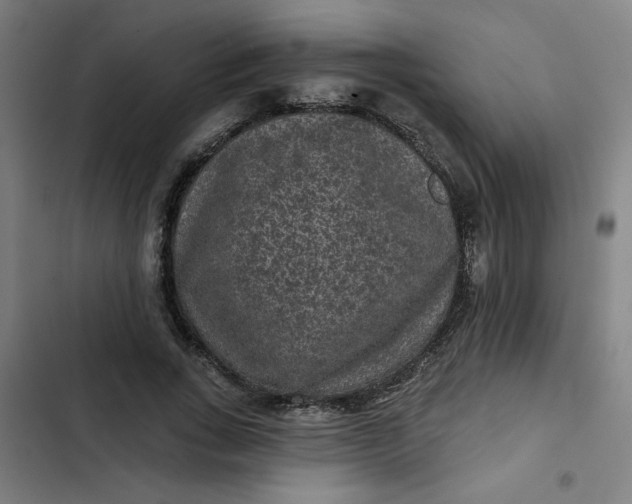 X0000102460735200808221618