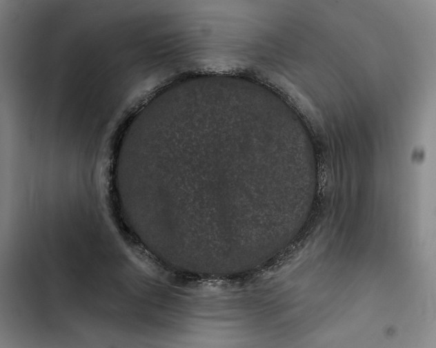 X0000102460736200808221618