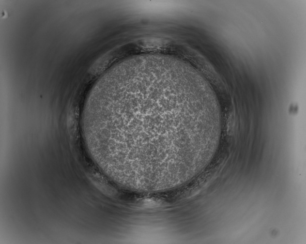 X0000102460737200808221618