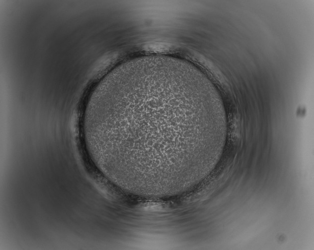 X0000102460738200808221618