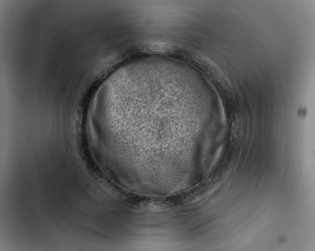 X0000102460739200808221618