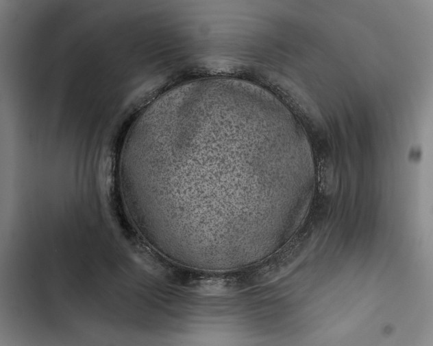 X0000102460740200808221618