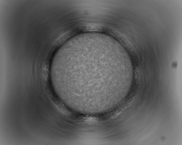 X0000102460741200808221618