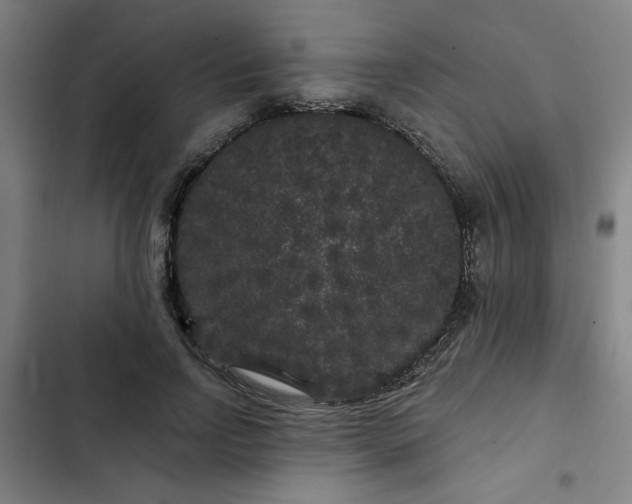 X0000102460742200808221618