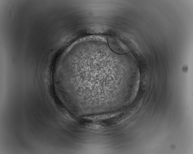 X0000102460743200808221618