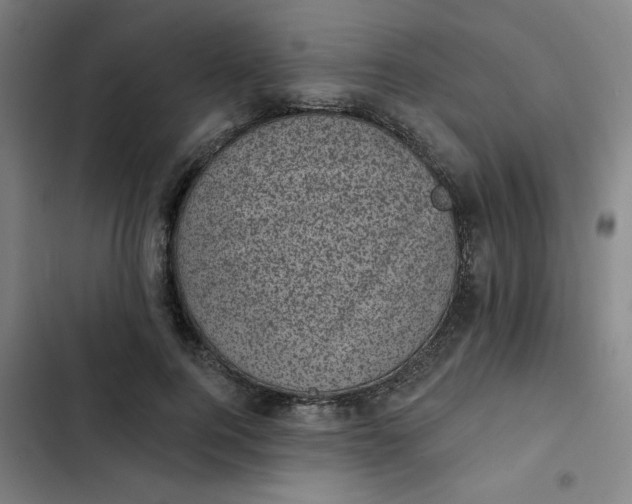 X0000102460744200808221619