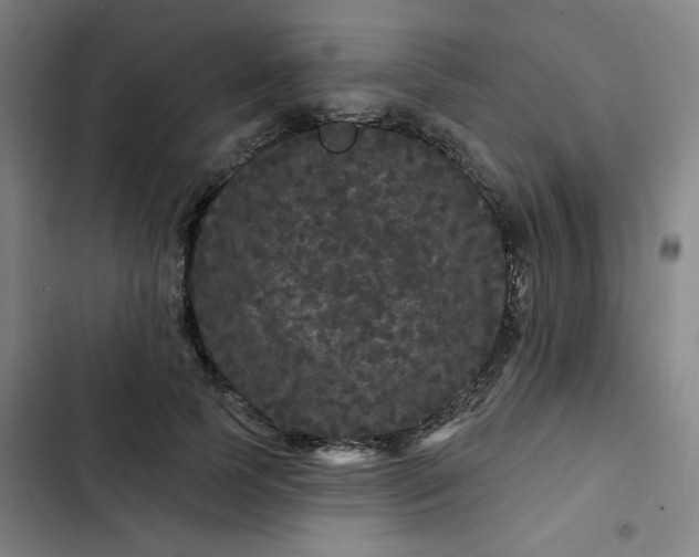 X0000102460745200808221619