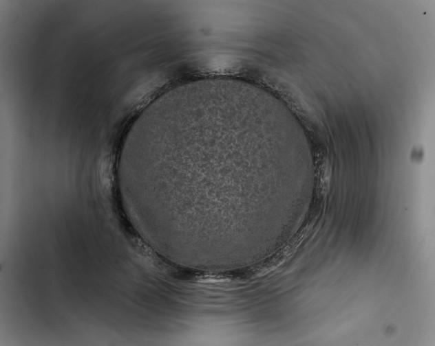 X0000102460746200808221619