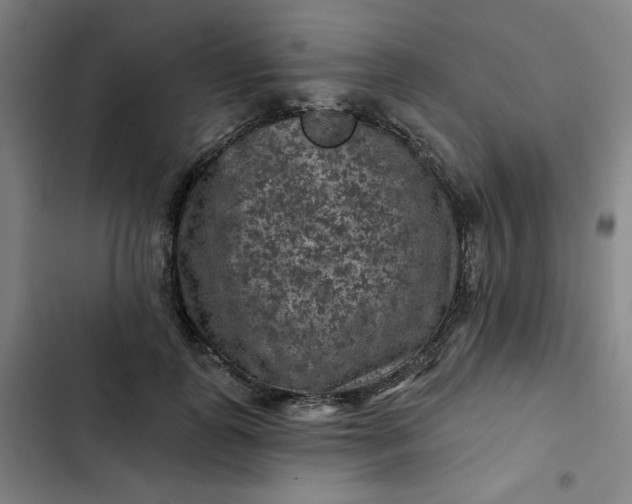 X0000102460747200808221619